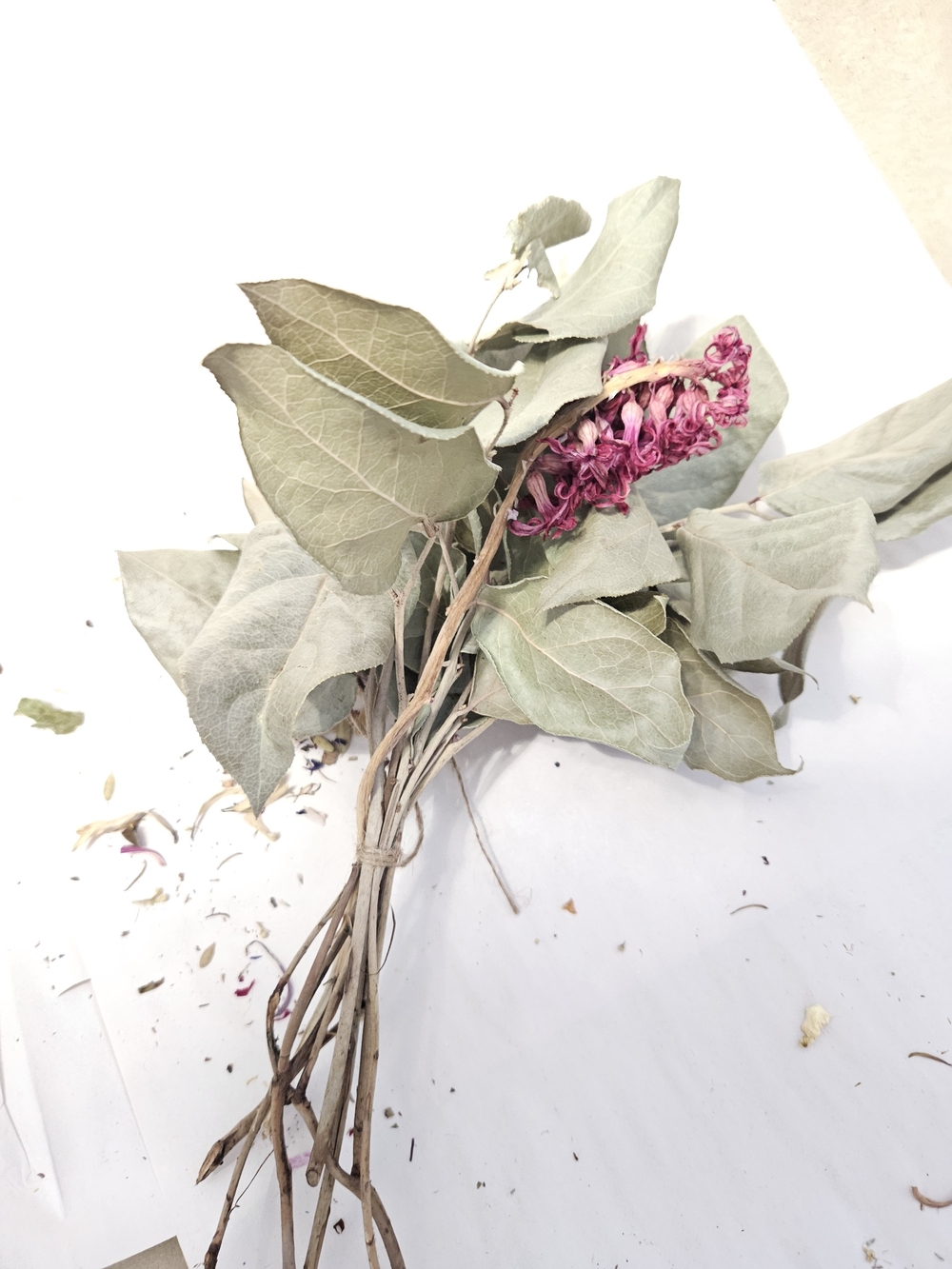 Dried Floral Bunch in Dusty Green with Pink Accent Hydrangea